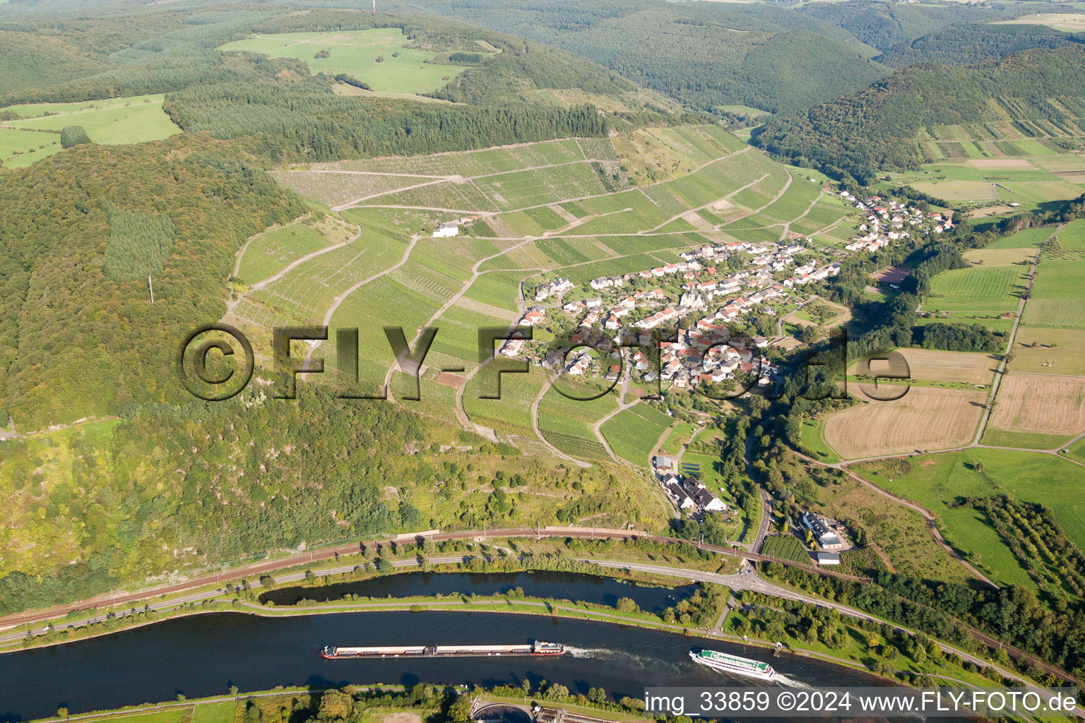 Fields of wine cultivation landscape in Ockfen over the river Saar in the state Rhineland-Palatinate