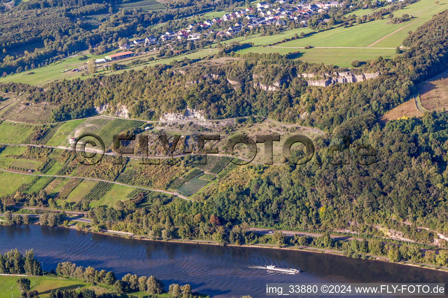 Steep Fields of wine cultivation at the shore of the river Mosel in the district Liersberg in Igel in the state Rhineland-Palatinate, Germany