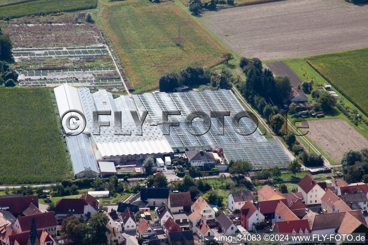 Nursery on Ziegelstr in the district Sondernheim in Germersheim in the state Rhineland-Palatinate, Germany