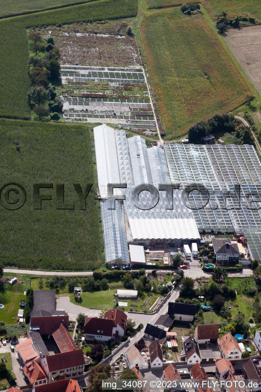 Aerial view of Gardening on Ziegelstr in the district Sondernheim in Germersheim in the state Rhineland-Palatinate, Germany