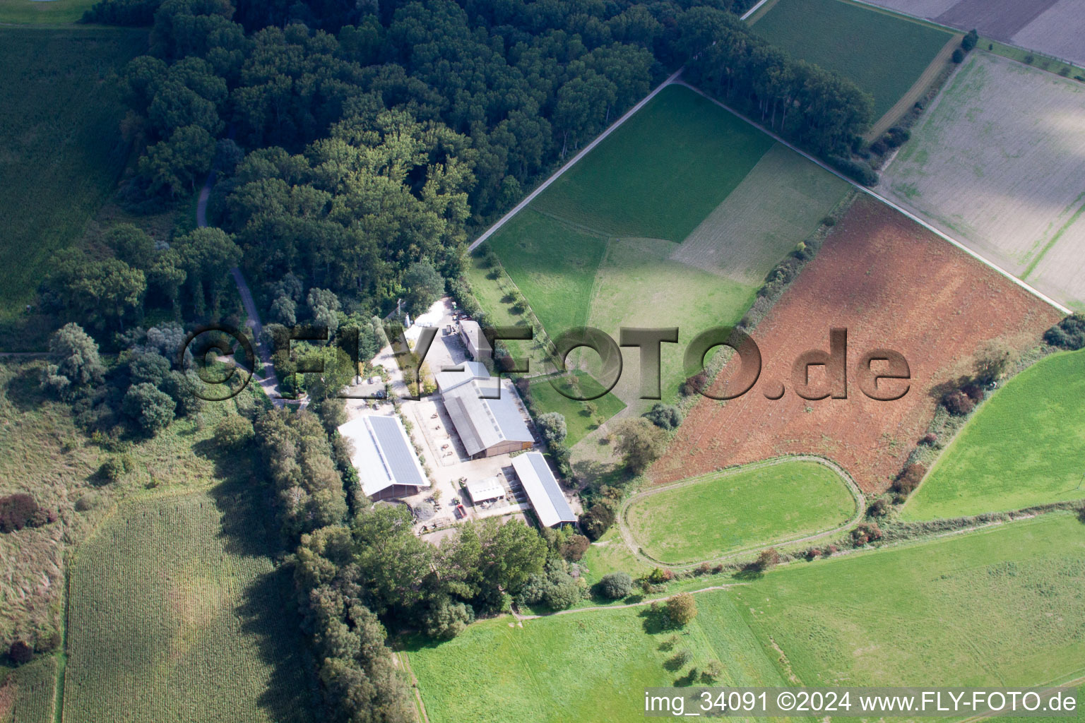 Kennelhof in the district Sondernheim in Germersheim in the state Rhineland-Palatinate, Germany