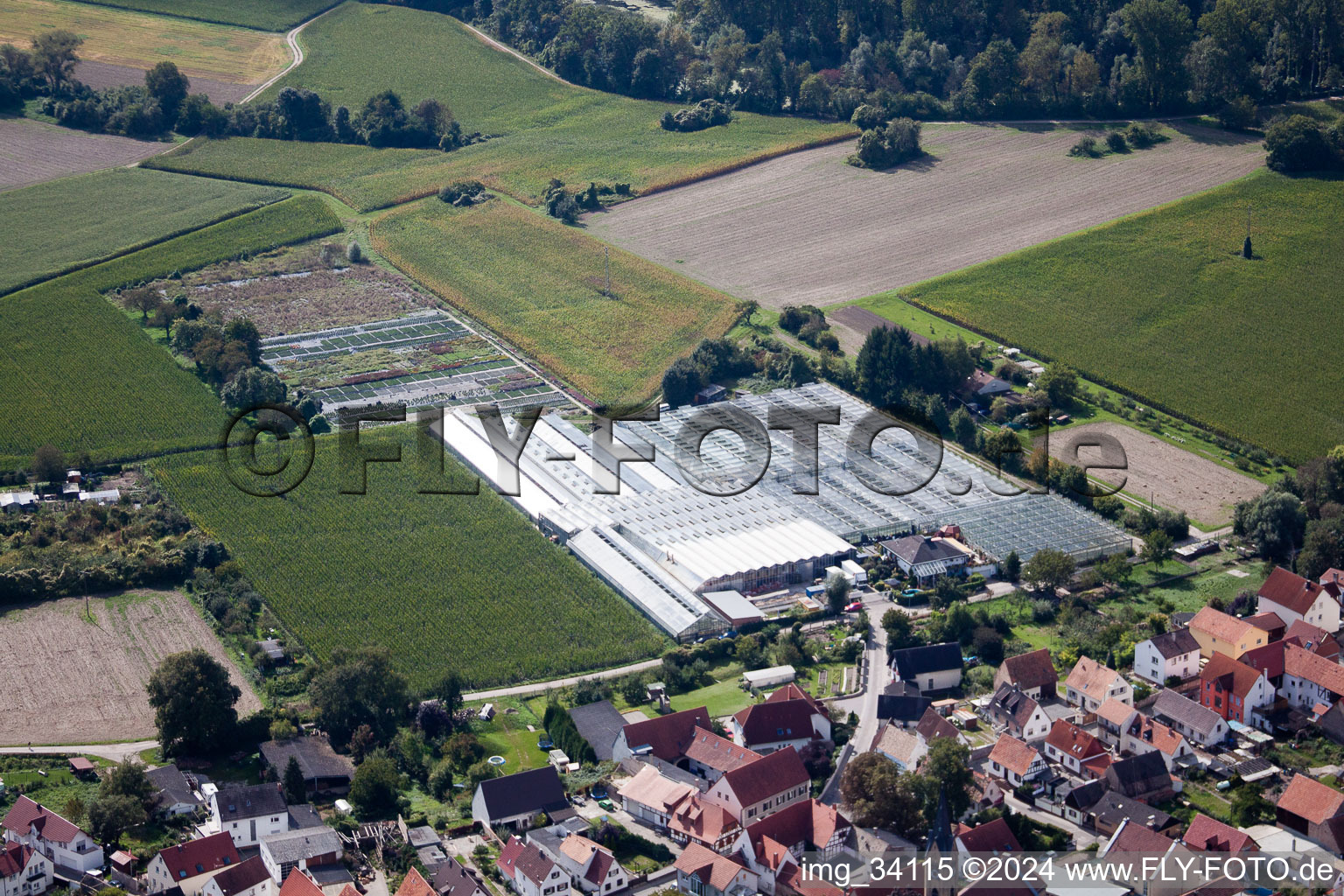 Aerial photograpy of Nursery on Ziegelstr in the district Sondernheim in Germersheim in the state Rhineland-Palatinate, Germany