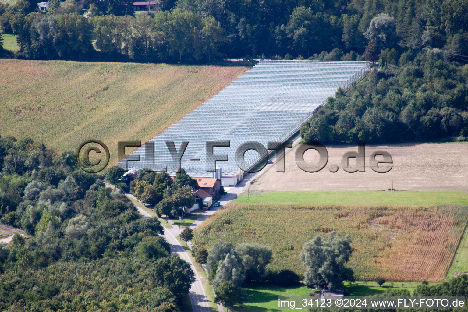 Aerial view of Gardening center Klaus and Frank Mildenberger in the district Sondernheim in Germersheim in the state Rhineland-Palatinate, Germany