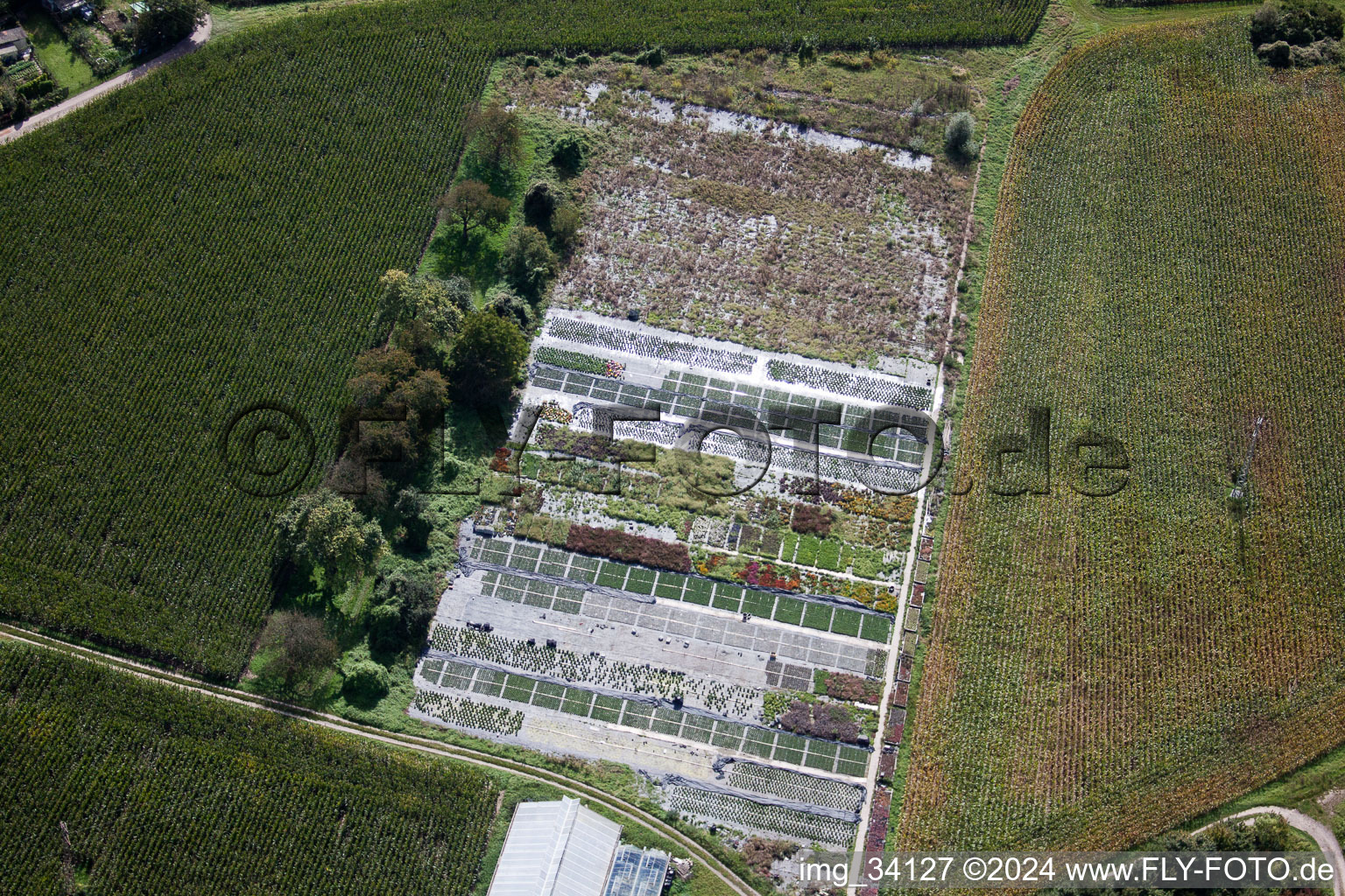 Oblique view of Gardening on Ziegelstr in the district Sondernheim in Germersheim in the state Rhineland-Palatinate, Germany