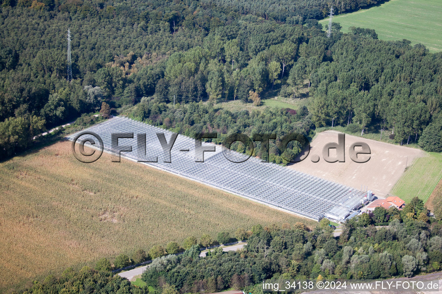 Oblique view of Gardening center Klaus and Frank Mildenberger in the district Sondernheim in Germersheim in the state Rhineland-Palatinate, Germany