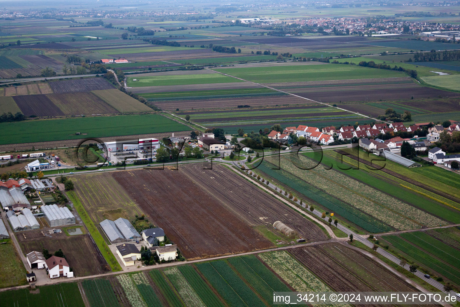 Maxdorf in the state Rhineland-Palatinate, Germany from above