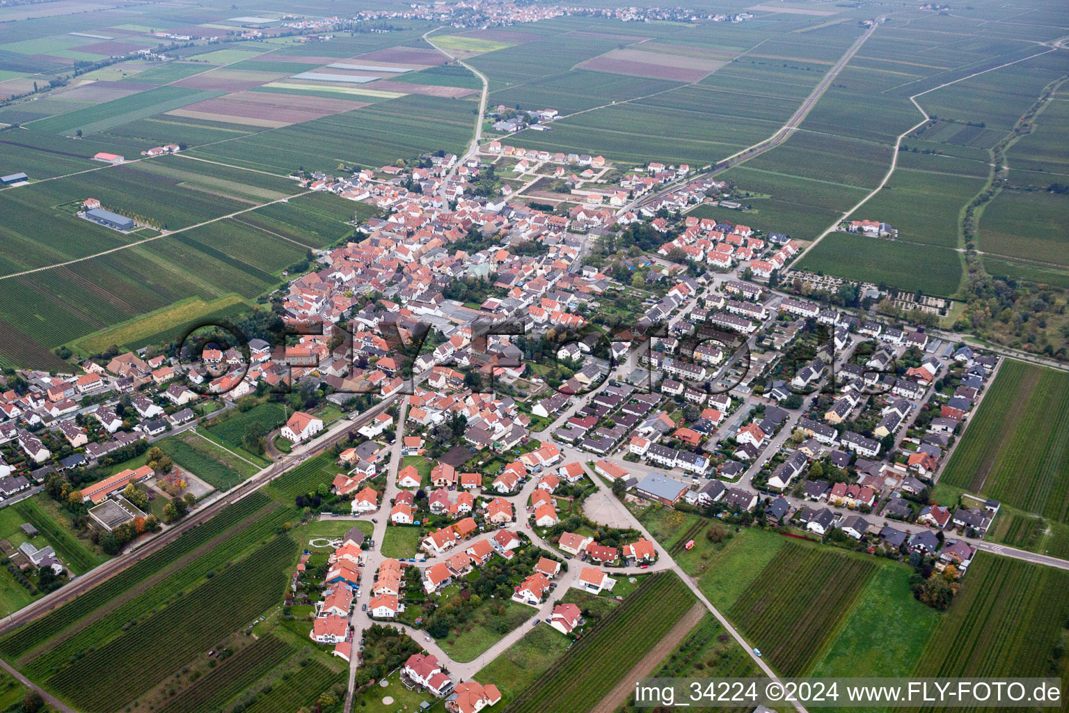 Bird's eye view of Ellerstadt in the state Rhineland-Palatinate, Germany