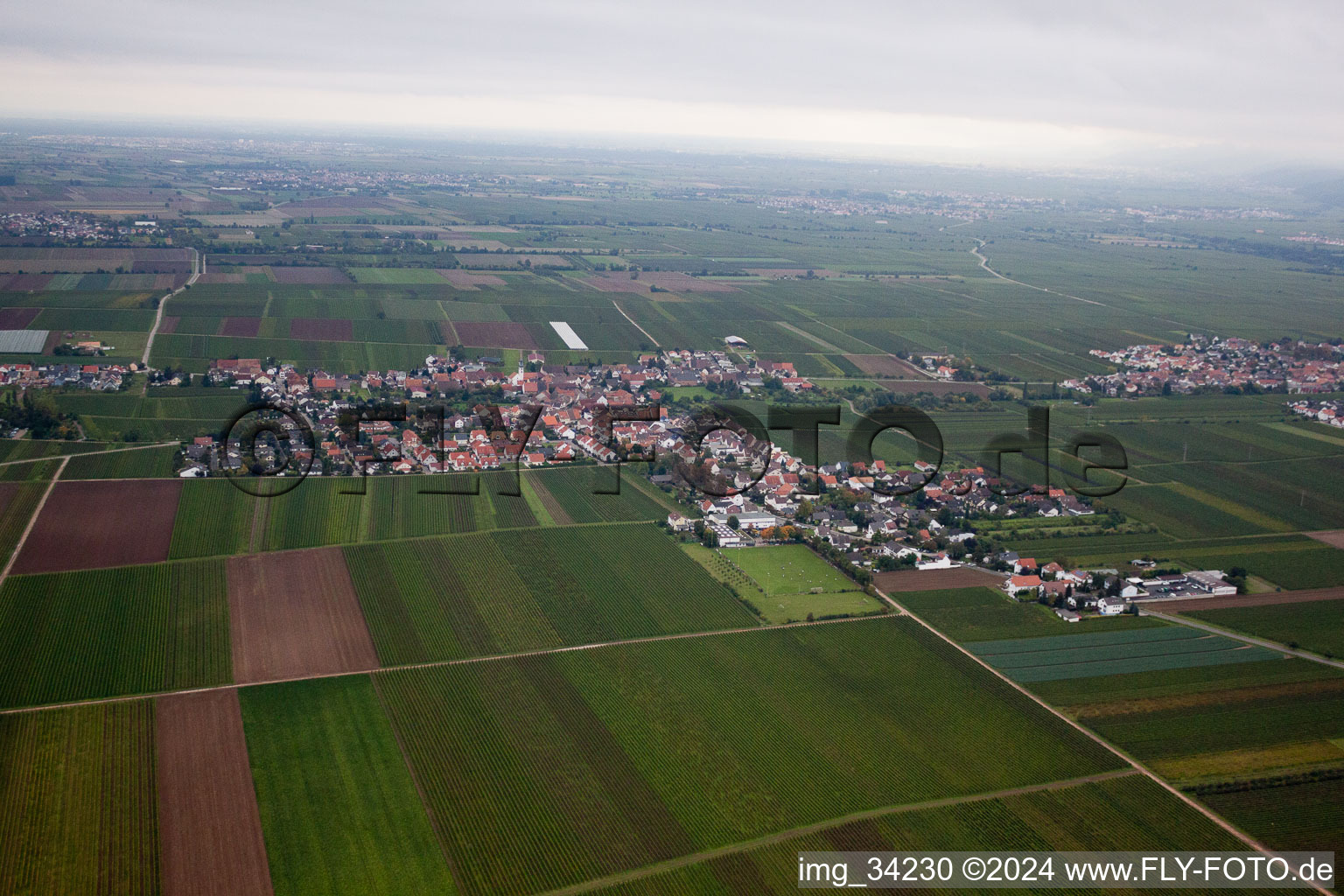 Drone recording of Ellerstadt in the state Rhineland-Palatinate, Germany