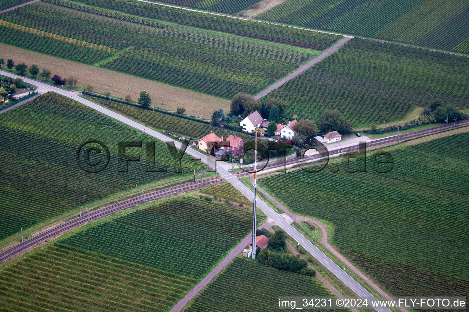 Gönnheim in the state Rhineland-Palatinate, Germany from the drone perspective