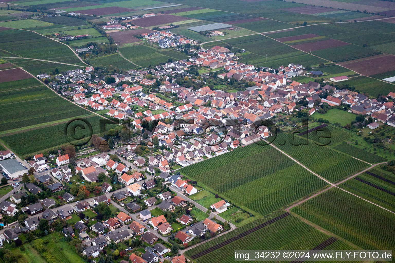 Friedelsheim in the state Rhineland-Palatinate, Germany from the plane