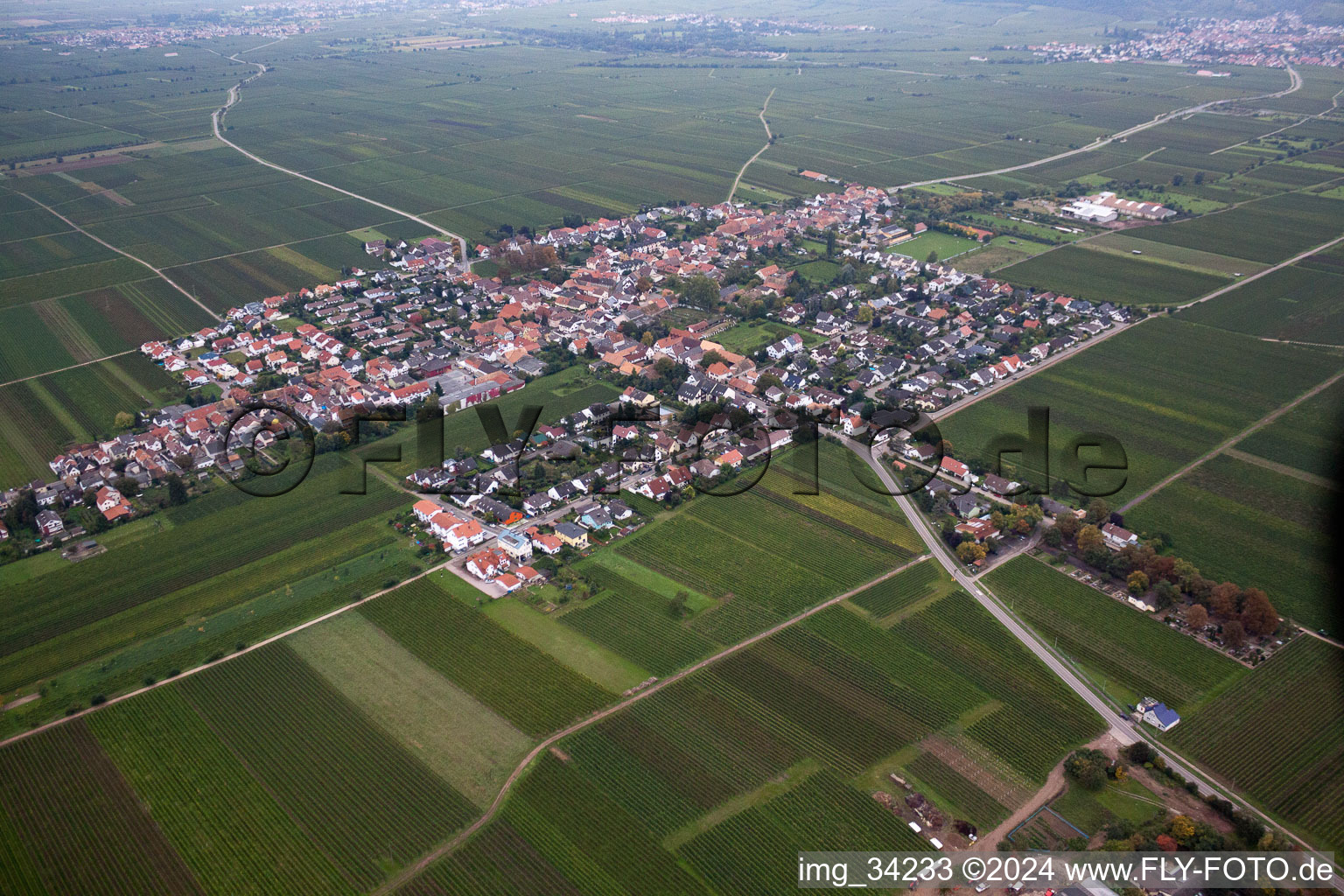 Bird's eye view of Friedelsheim in the state Rhineland-Palatinate, Germany