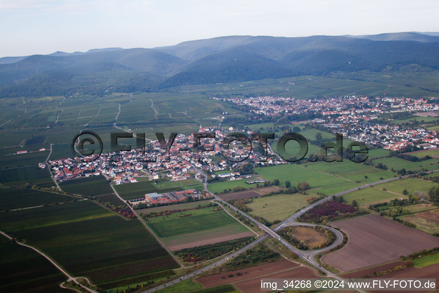 Oblique view of Ruppertsberg in the state Rhineland-Palatinate, Germany