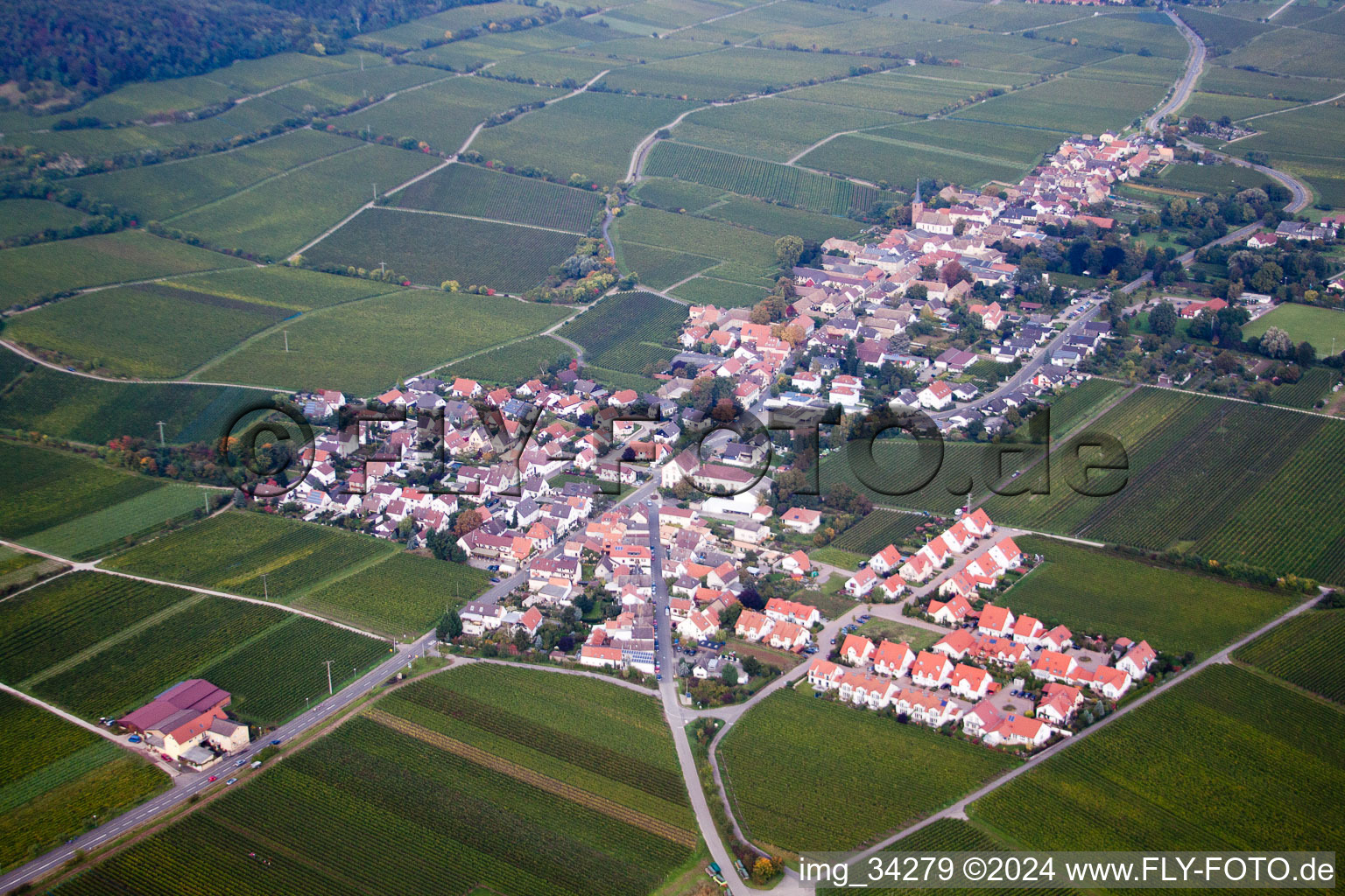 Forst an der Weinstraße in the state Rhineland-Palatinate, Germany seen from above