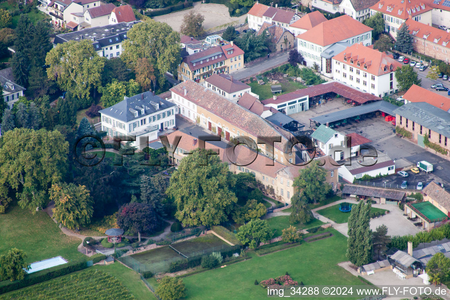 Wachenheim an der Weinstraße in the state Rhineland-Palatinate, Germany from a drone