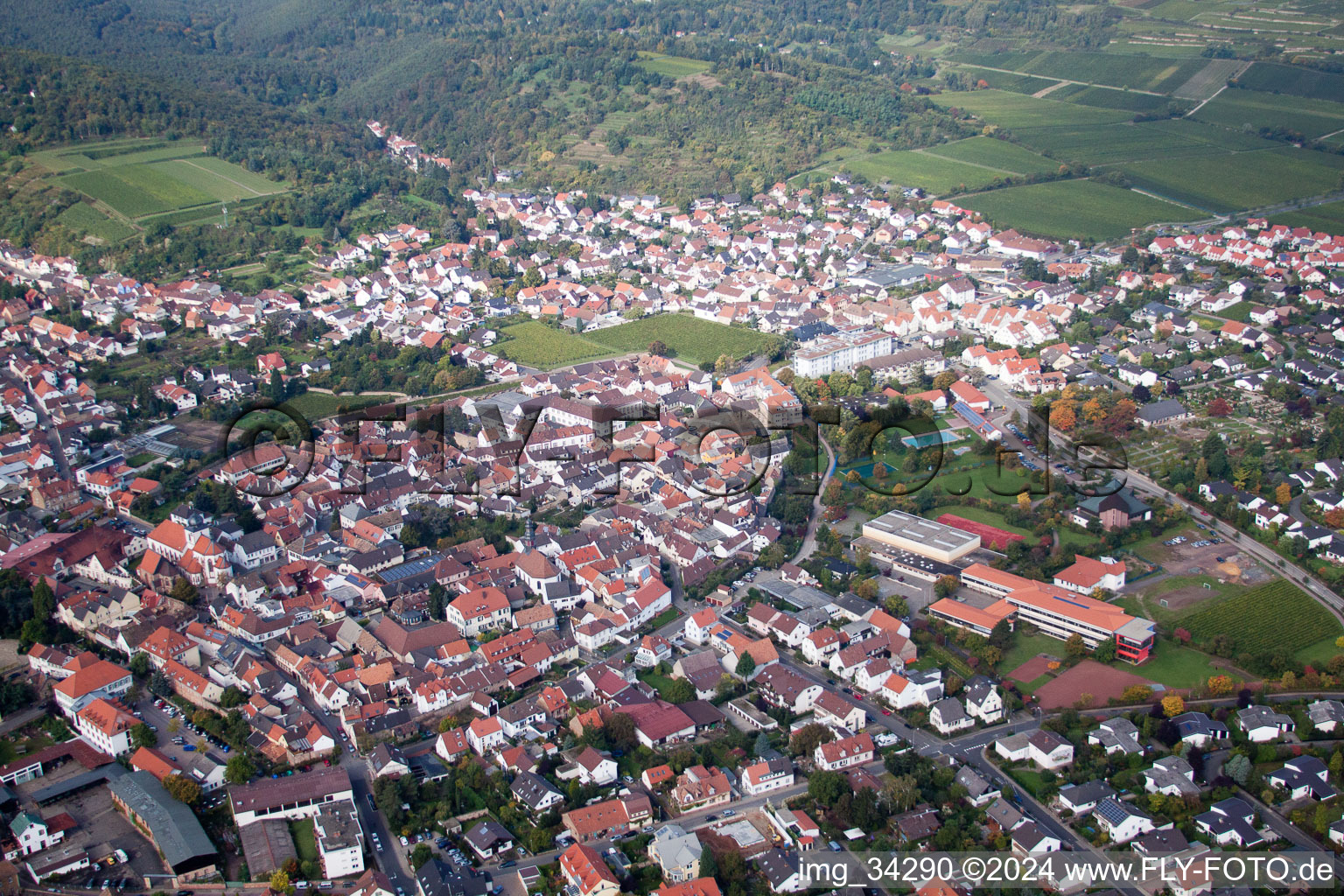 Drone image of Wachenheim an der Weinstraße in the state Rhineland-Palatinate, Germany