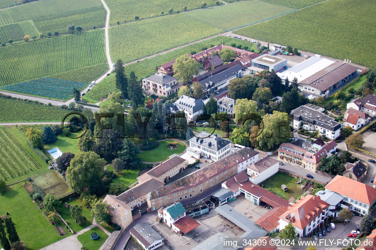 Wachenheim an der Weinstraße in the state Rhineland-Palatinate, Germany from a drone