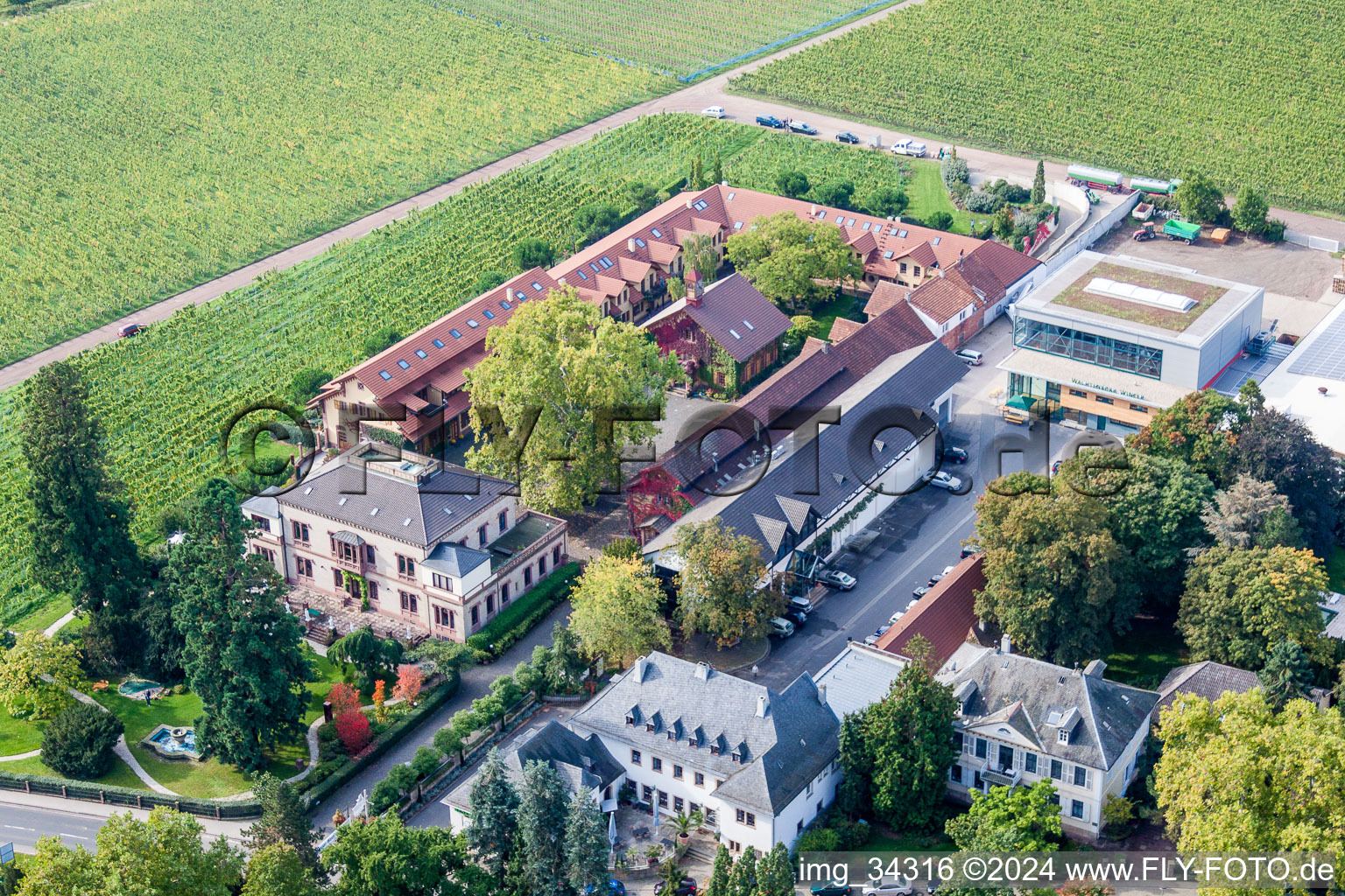 Aerial photograpy of Buildings and parks at the mansion of the wine cellar Weingut Dr. Buerklin-Wolf in Wachenheim an der Weinstrasse in the state Rhineland-Palatinate, Germany
