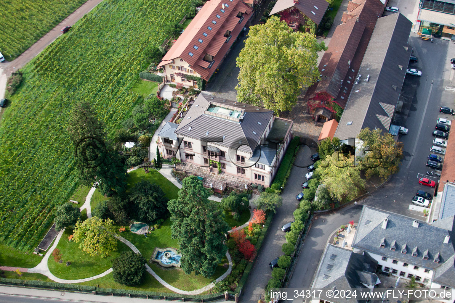 Aerial photograpy of Wachenheim an der Weinstraße in the state Rhineland-Palatinate, Germany