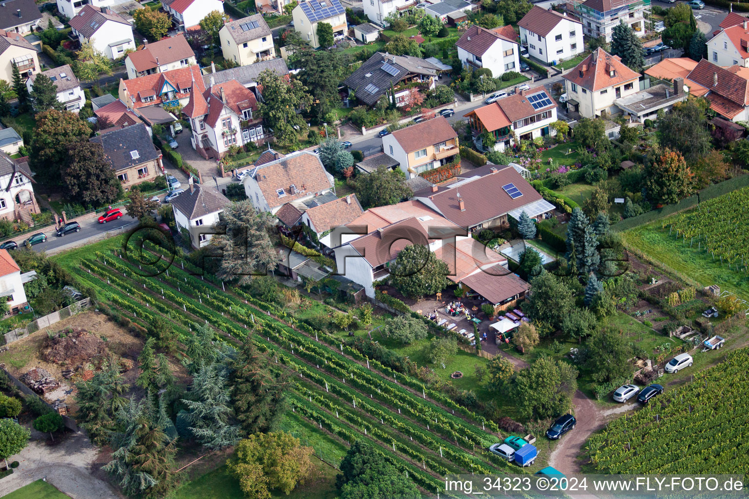 Zimmermann's Apple Days in Wachenheim an der Weinstraße in the state Rhineland-Palatinate, Germany from above