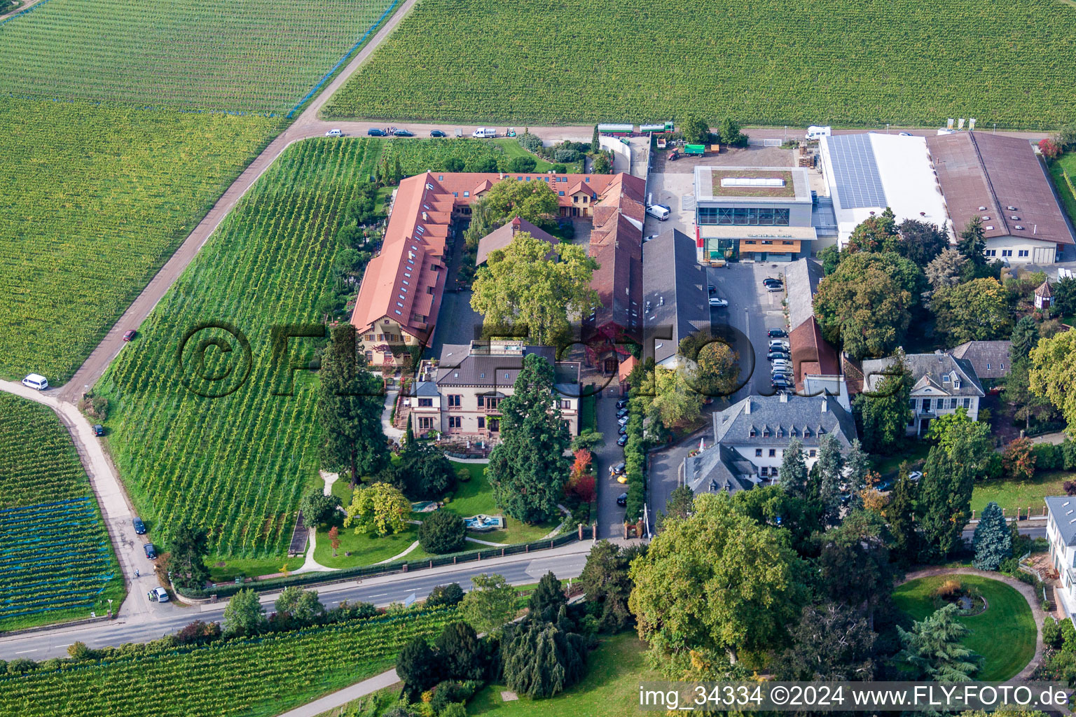 Oblique view of Buildings and parks at the mansion of the wine cellar Weingut Dr. Buerklin-Wolf in Wachenheim an der Weinstrasse in the state Rhineland-Palatinate, Germany