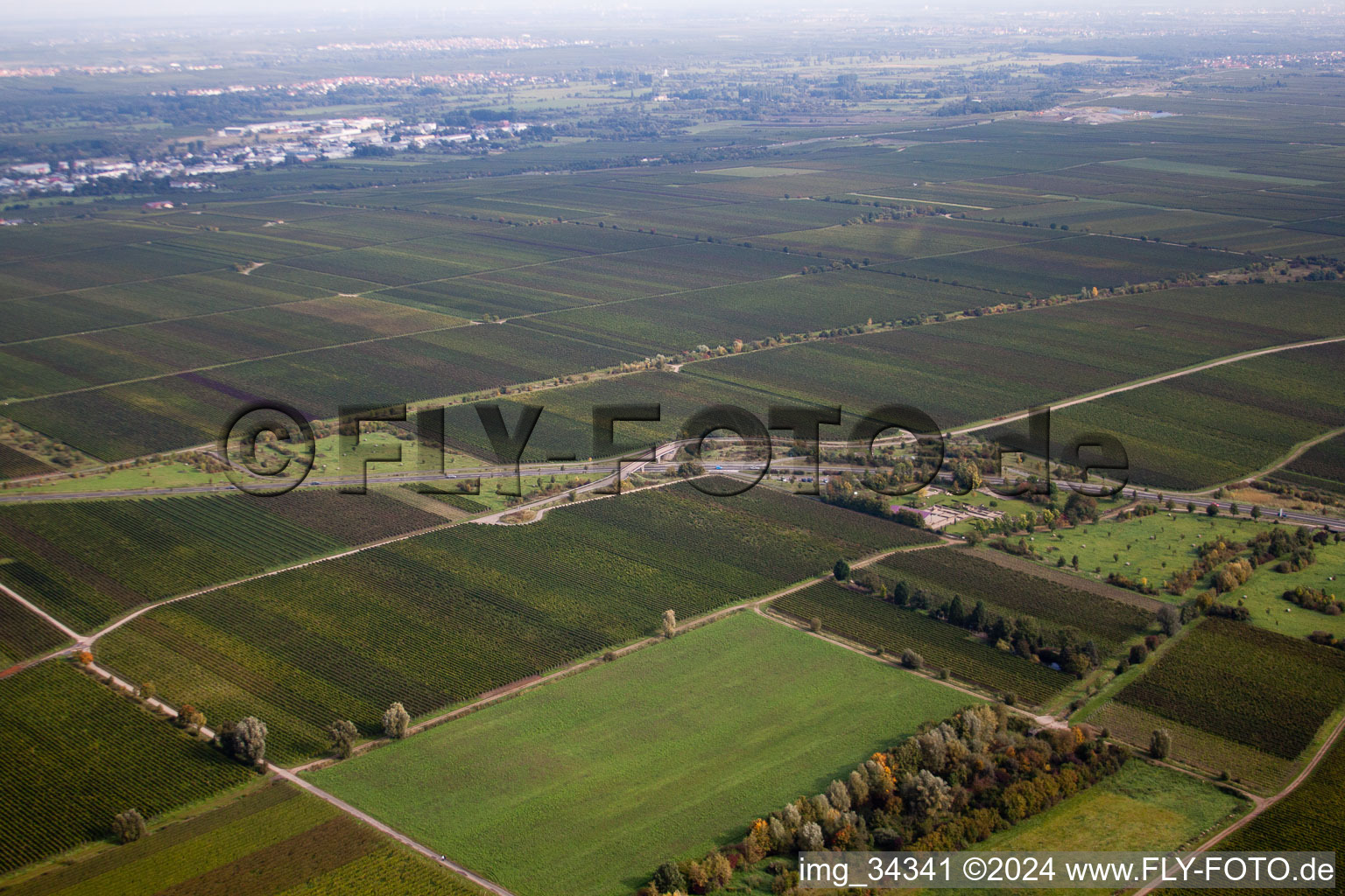 Wachenheim an der Weinstraße in the state Rhineland-Palatinate, Germany viewn from the air