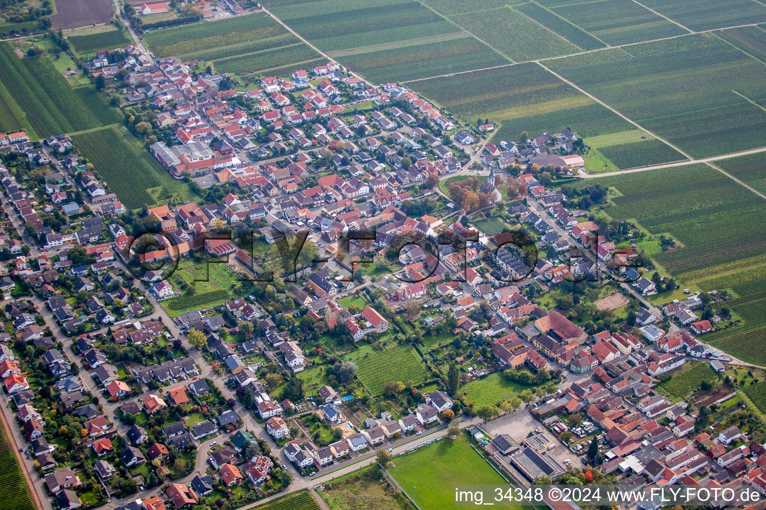 Friedelsheim in the state Rhineland-Palatinate, Germany viewn from the air