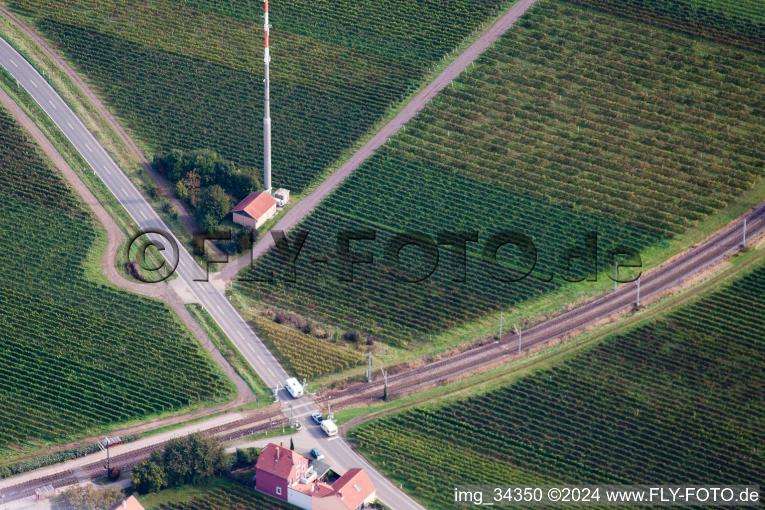 Drone image of Friedelsheim in the state Rhineland-Palatinate, Germany