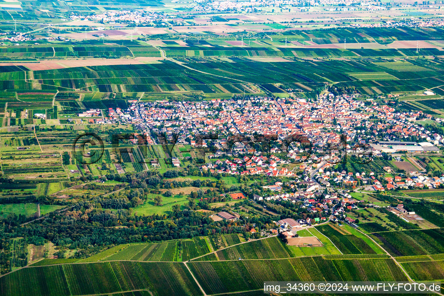 Oblique view of Weisenheim am Sand in the state Rhineland-Palatinate, Germany