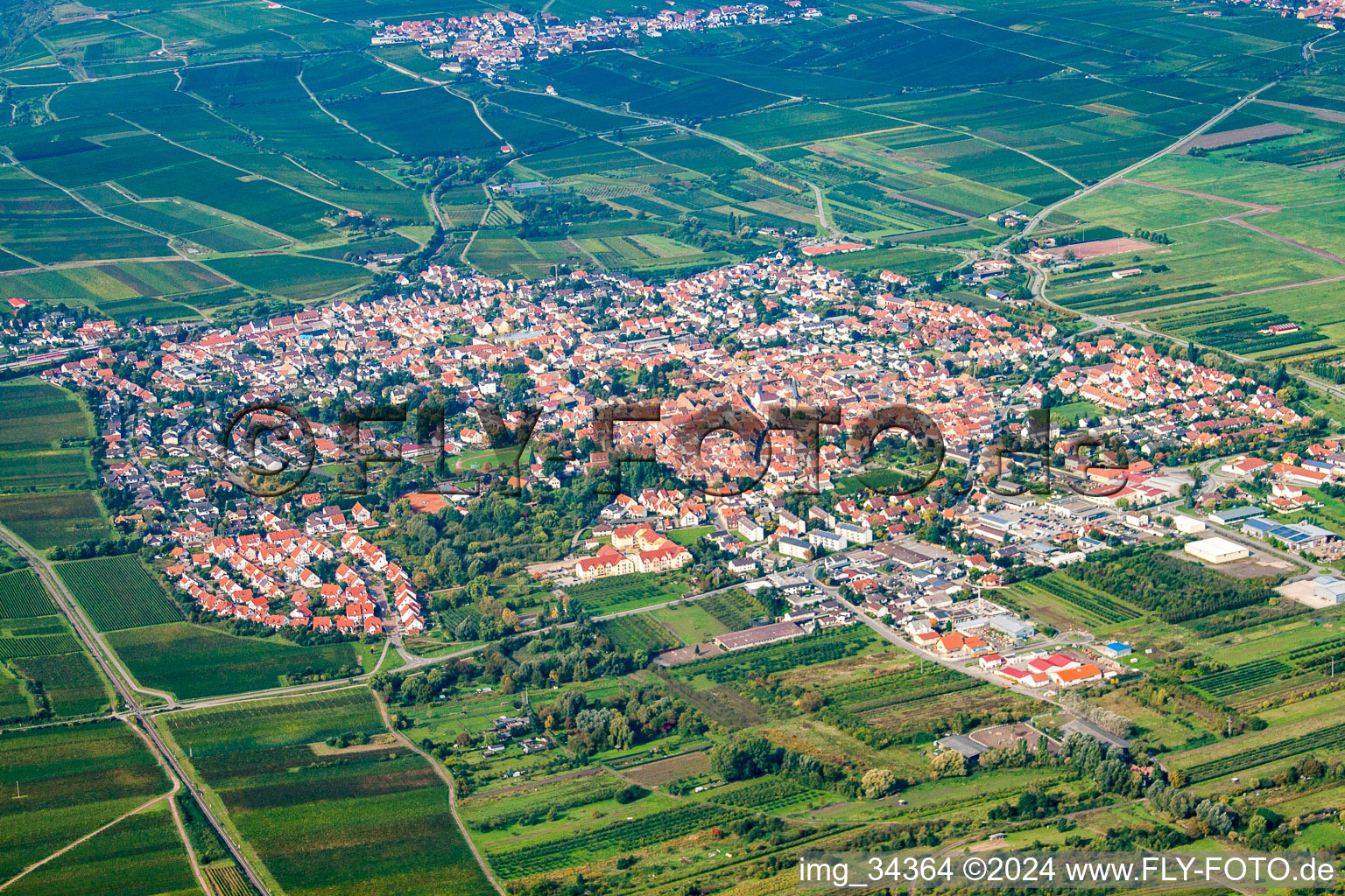 Aerial view of Freinsheim in the state Rhineland-Palatinate, Germany