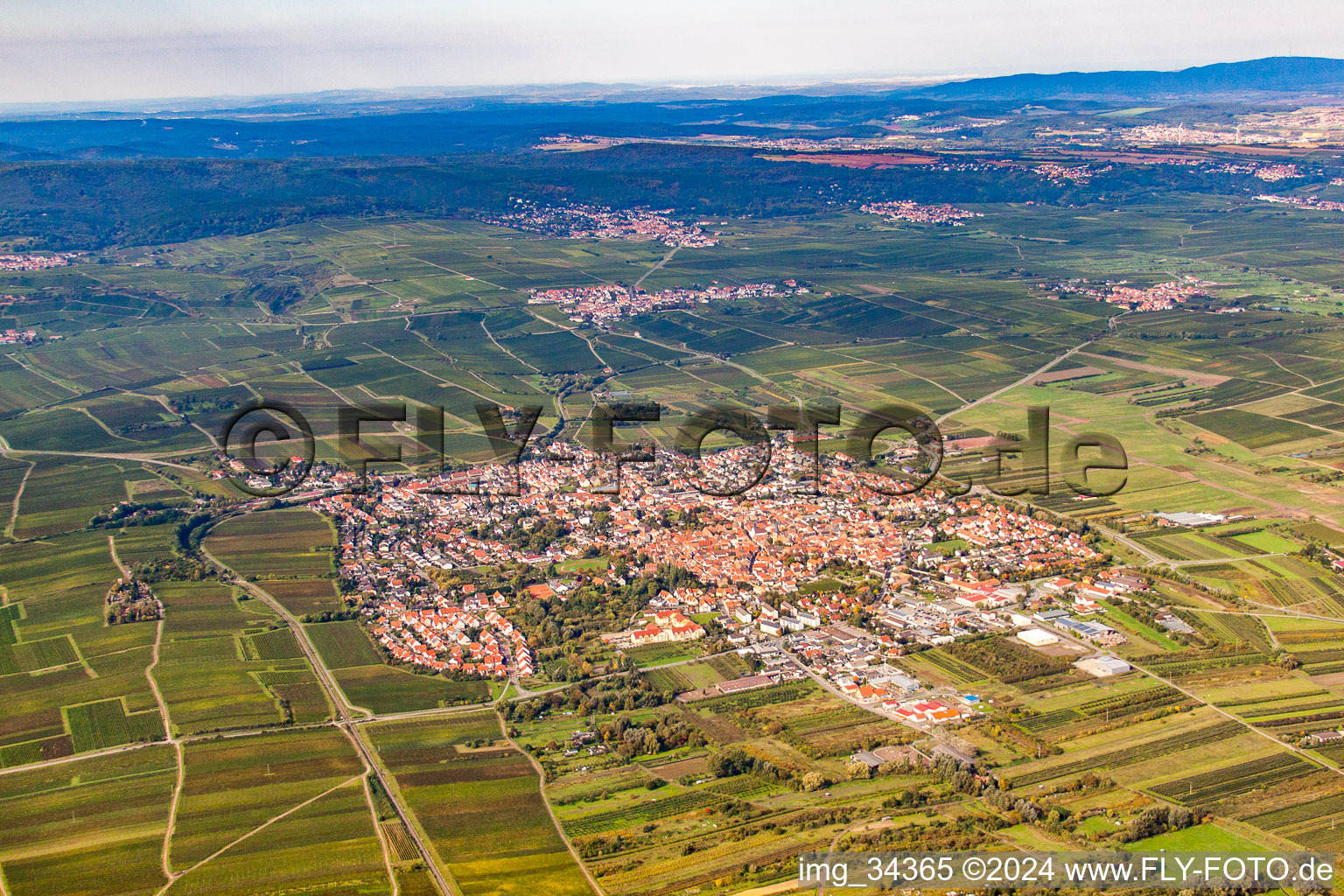 Aerial photograpy of Freinsheim in the state Rhineland-Palatinate, Germany