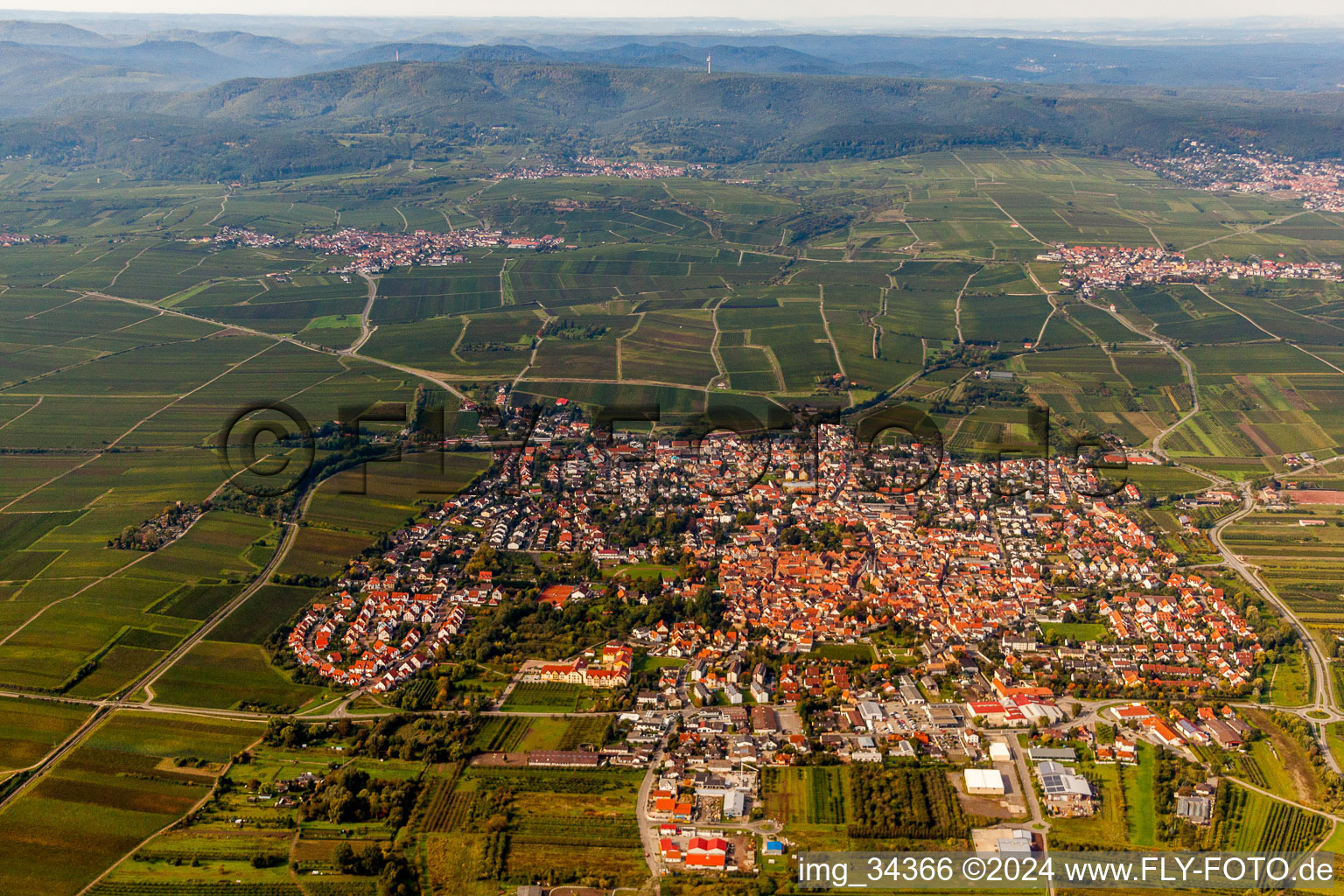 Village - view on the edge of agricultural fields and farmland in Freinsheim in the state Rhineland-Palatinate, Germany