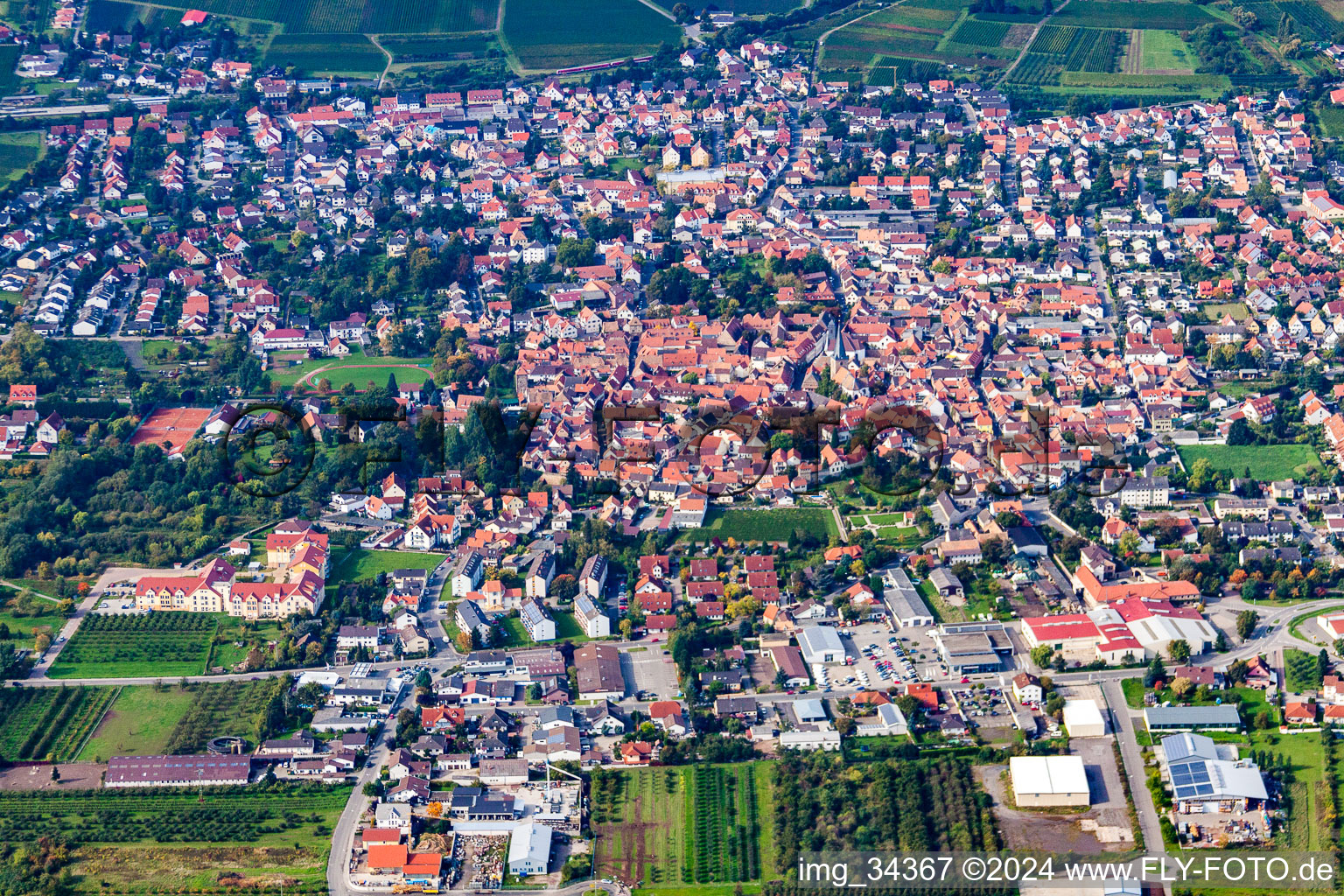 Oblique view of Freinsheim in the state Rhineland-Palatinate, Germany