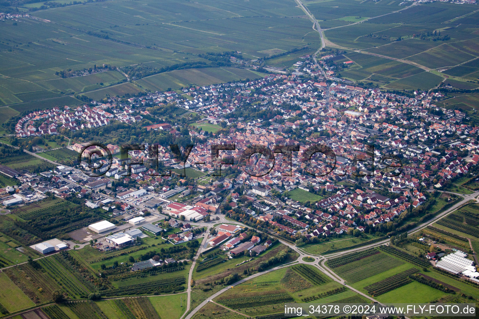 Freinsheim in the state Rhineland-Palatinate, Germany out of the air