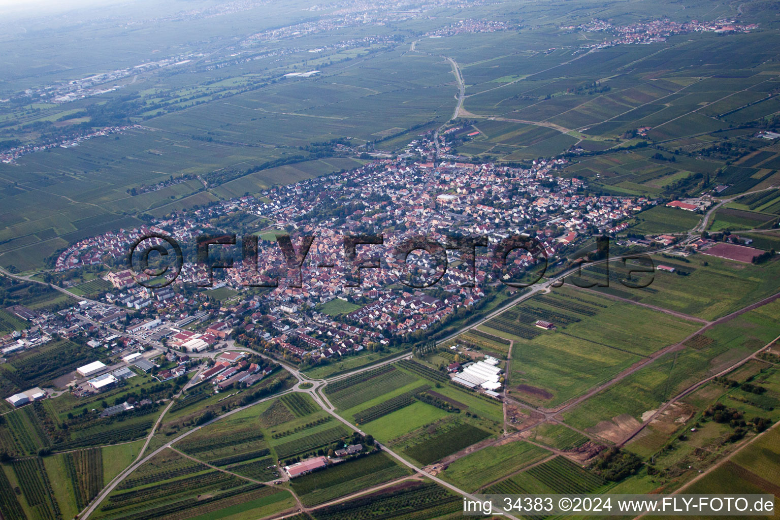 Freinsheim in the state Rhineland-Palatinate, Germany seen from above