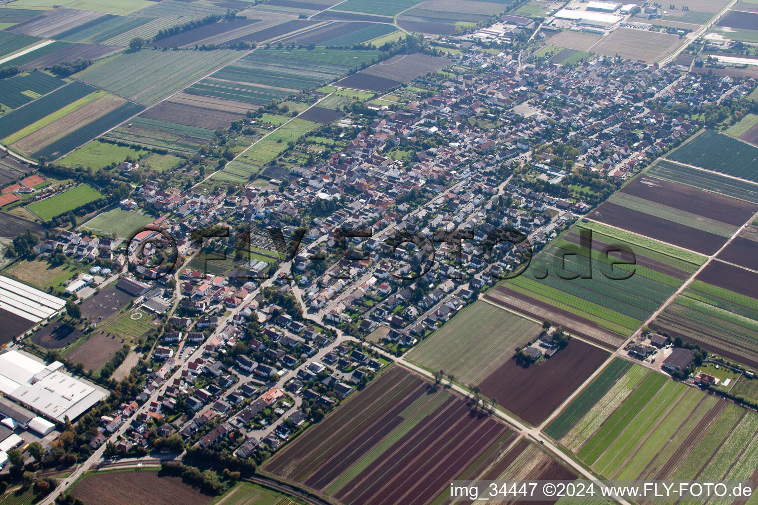 Oblique view of Fußgönheim in the state Rhineland-Palatinate, Germany