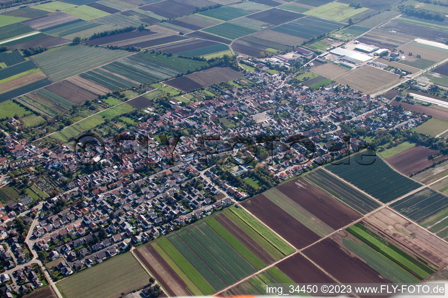 Fußgönheim in the state Rhineland-Palatinate, Germany from above