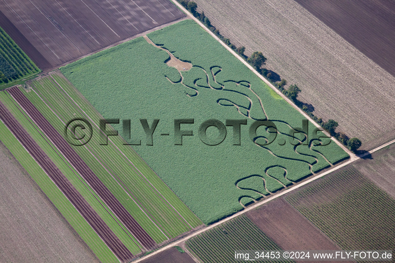 Maze - Labyrinth in a field in Goennheim in the state Rhineland-Palatinate, Germany