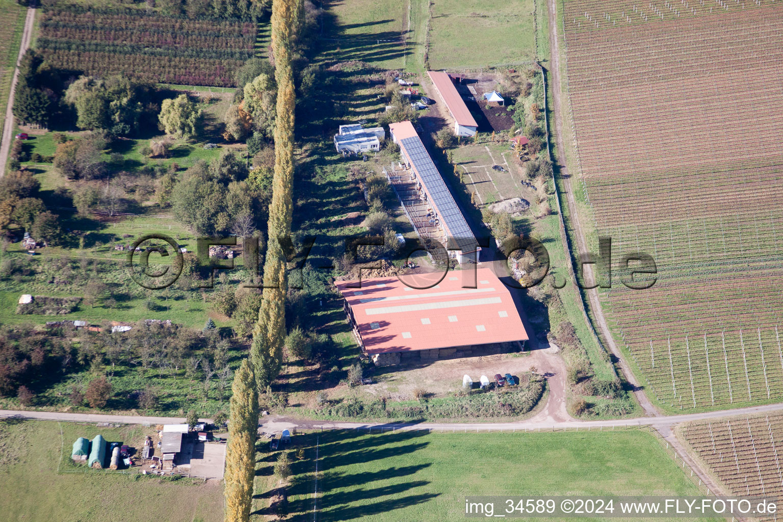 At the Ahlmühle in Ilbesheim bei Landau in der Pfalz in the state Rhineland-Palatinate, Germany viewn from the air