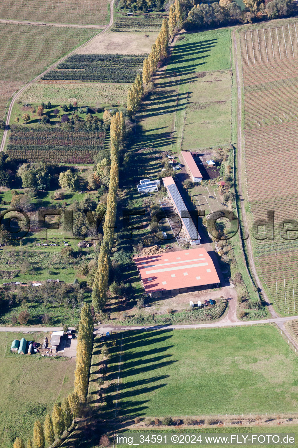 Drone recording of At the Ahlmühle in Ilbesheim bei Landau in der Pfalz in the state Rhineland-Palatinate, Germany