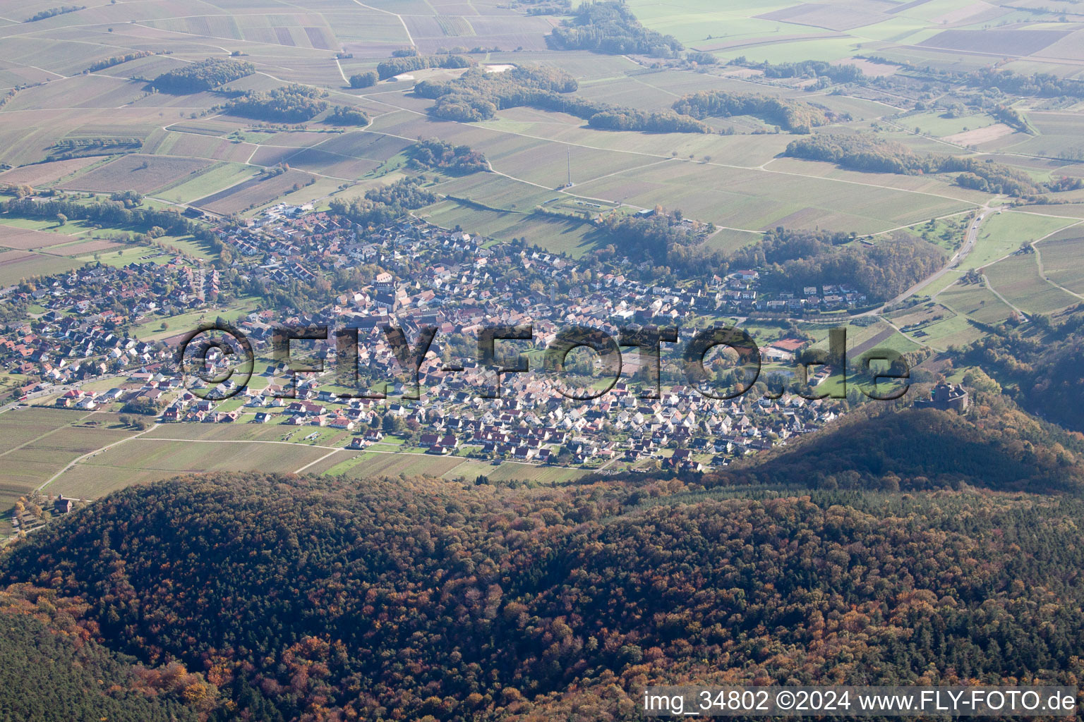 Klingenmünster in the state Rhineland-Palatinate, Germany out of the air