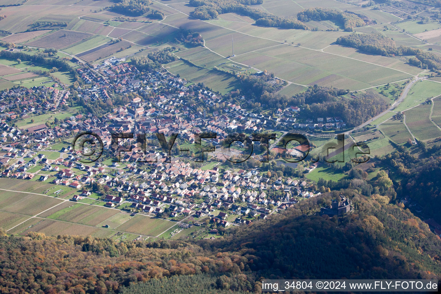 Klingenmünster in the state Rhineland-Palatinate, Germany seen from above