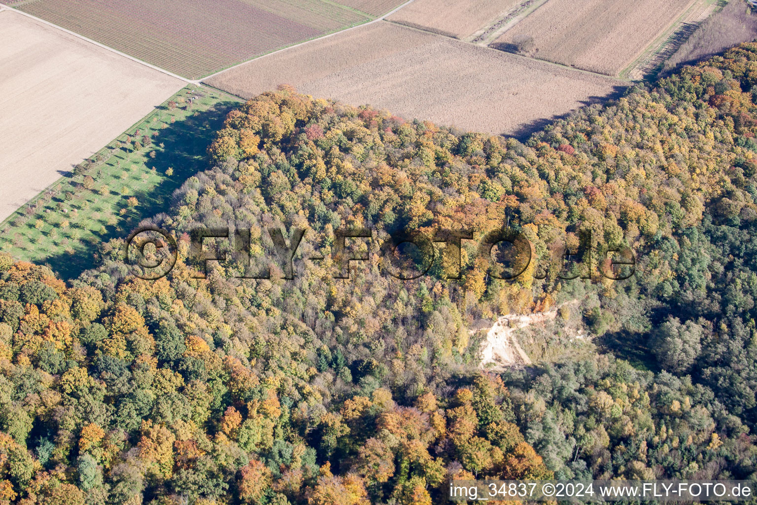 Aerial view of Sand pit in the forest in Barbelroth in the state Rhineland-Palatinate, Germany