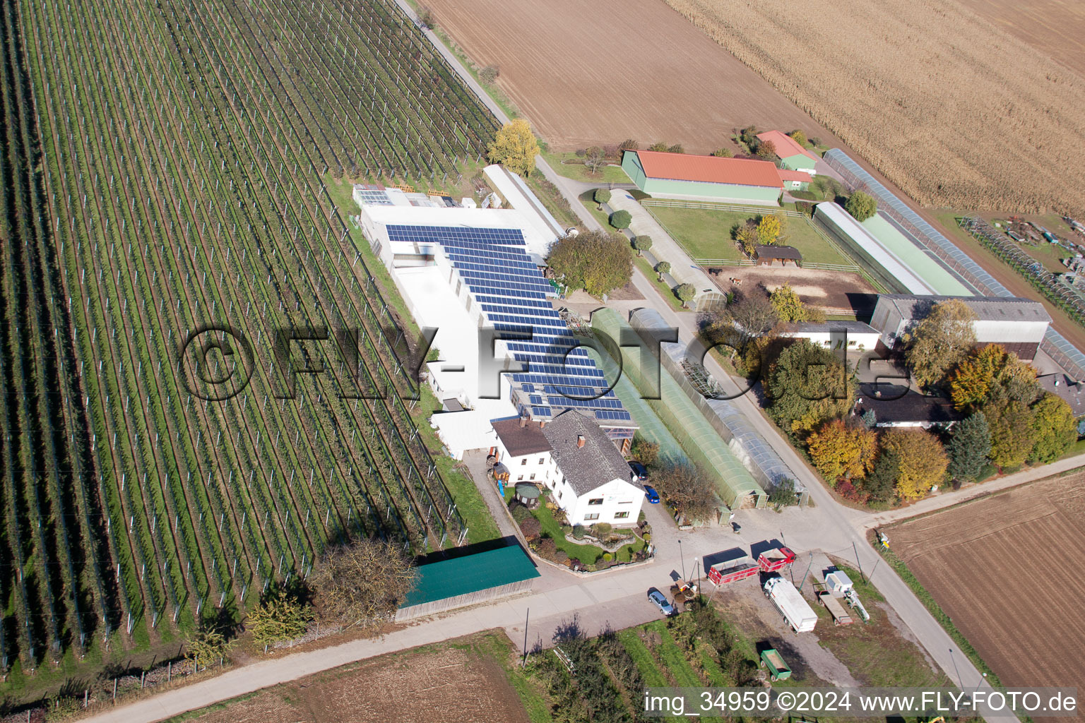 Zapf fruit and asparagus farm in Kandel in the state Rhineland-Palatinate, Germany