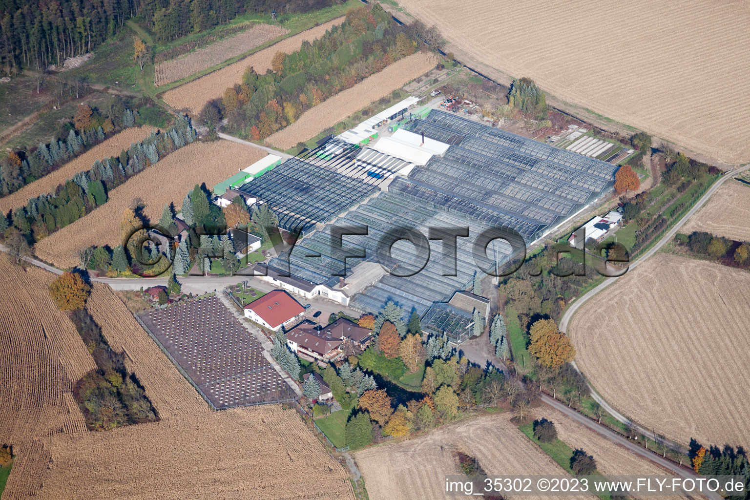 Oblique view of Geranium Endisch GmbH in Hagenbach in the state Rhineland-Palatinate, Germany