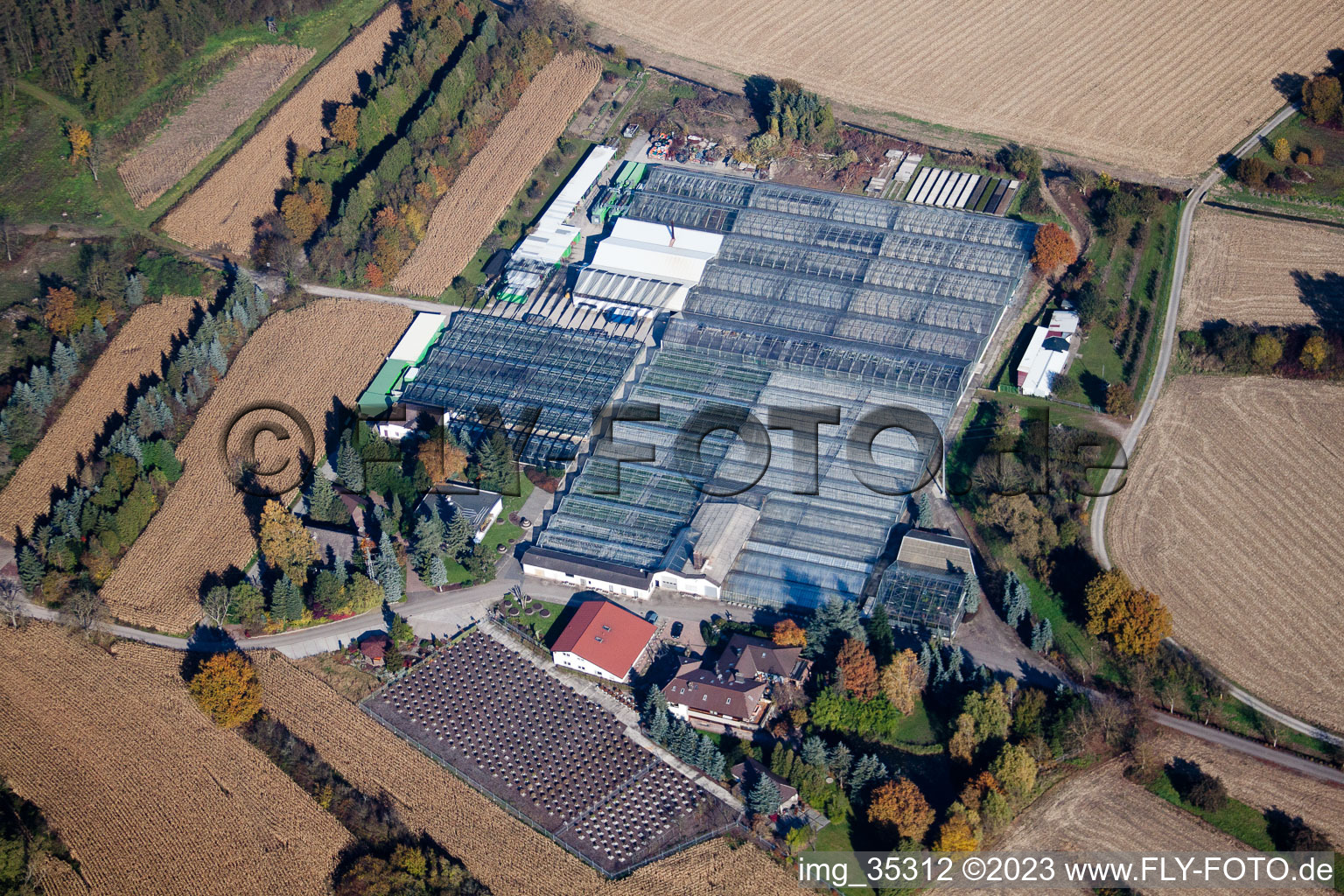 Geranium Endisch GmbH in Hagenbach in the state Rhineland-Palatinate, Germany from above