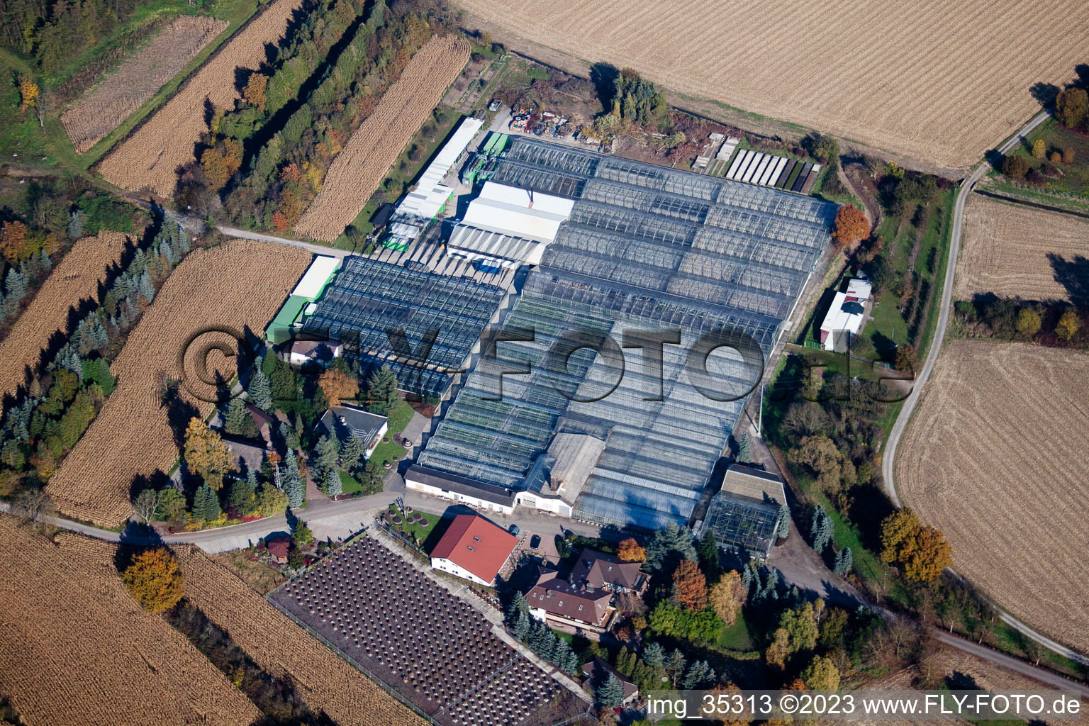 Geranium Endisch GmbH in Hagenbach in the state Rhineland-Palatinate, Germany out of the air