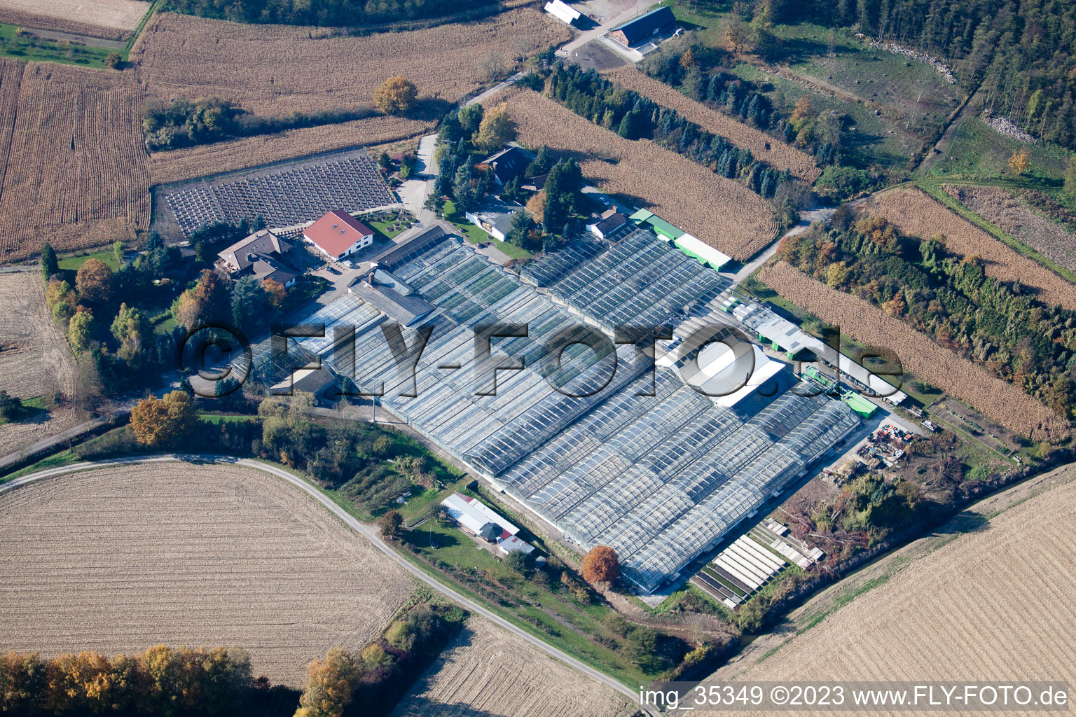 Geranium Endisch GmbH in Hagenbach in the state Rhineland-Palatinate, Germany seen from above
