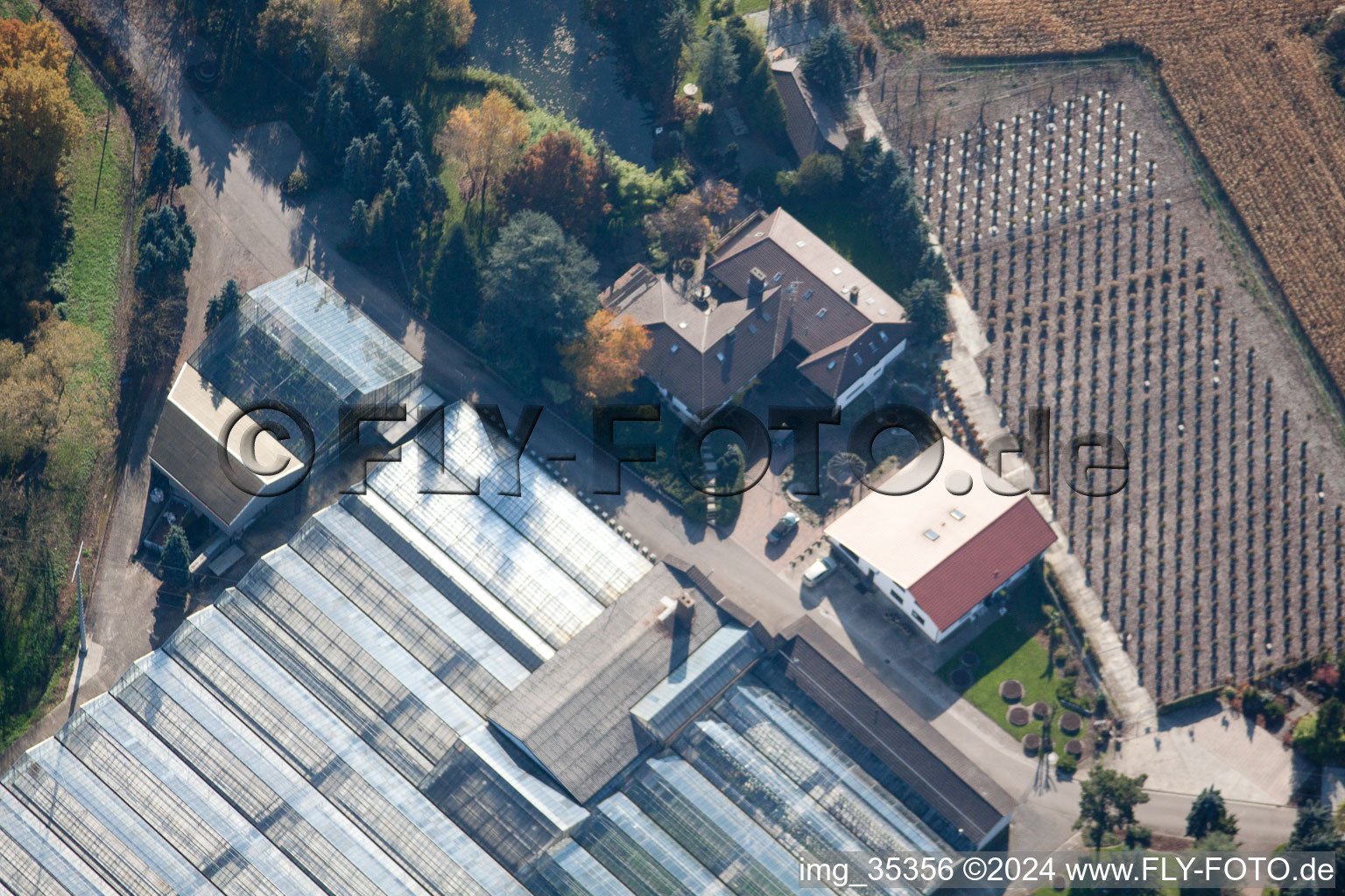 Bird's eye view of Geranium Endisch GmbH in Hagenbach in the state Rhineland-Palatinate, Germany