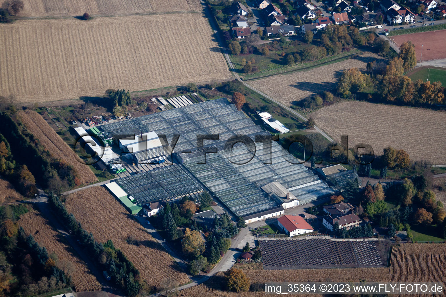 Drone image of Geranium Endisch GmbH in Hagenbach in the state Rhineland-Palatinate, Germany