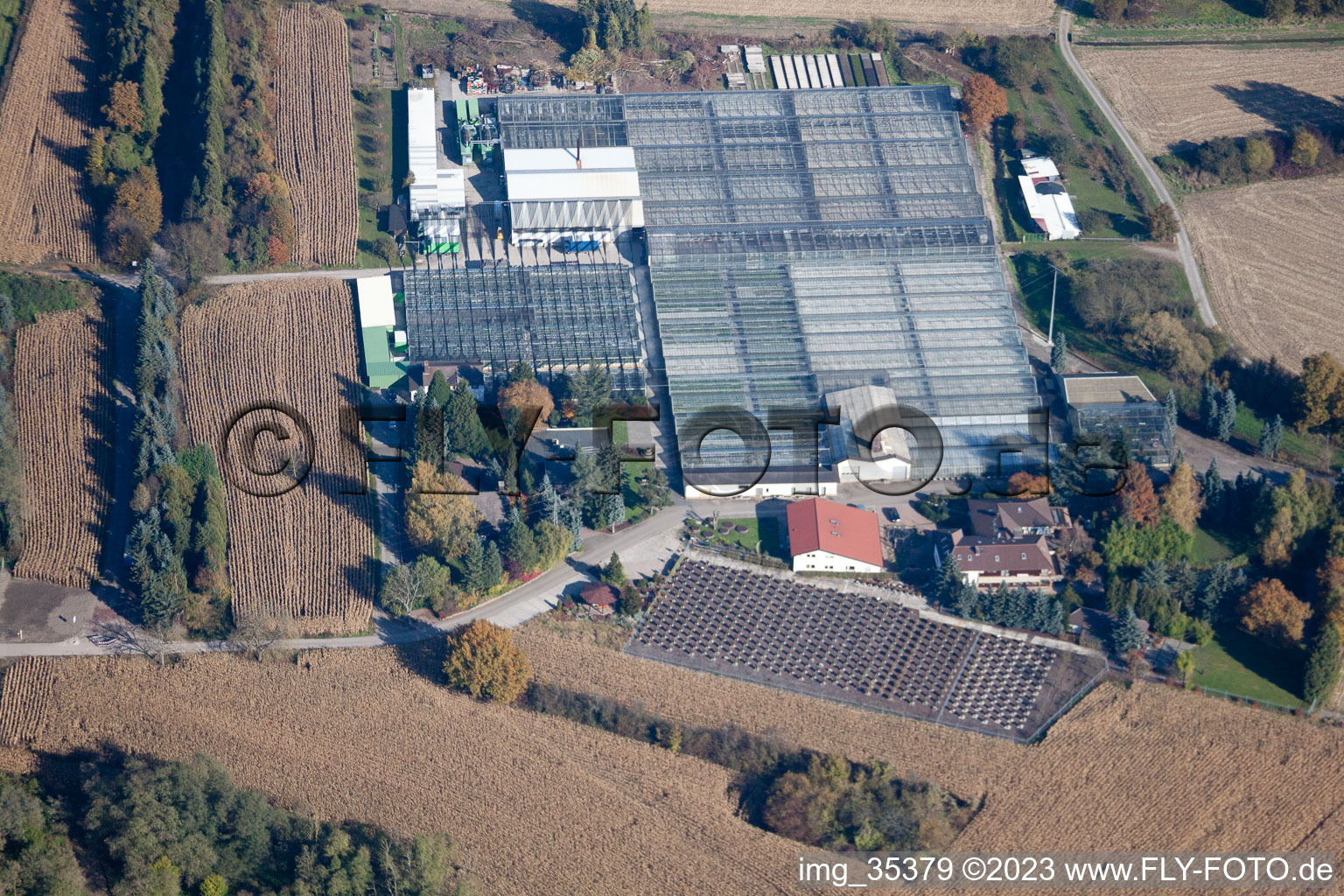 Geranium Endisch GmbH in Hagenbach in the state Rhineland-Palatinate, Germany from the drone perspective